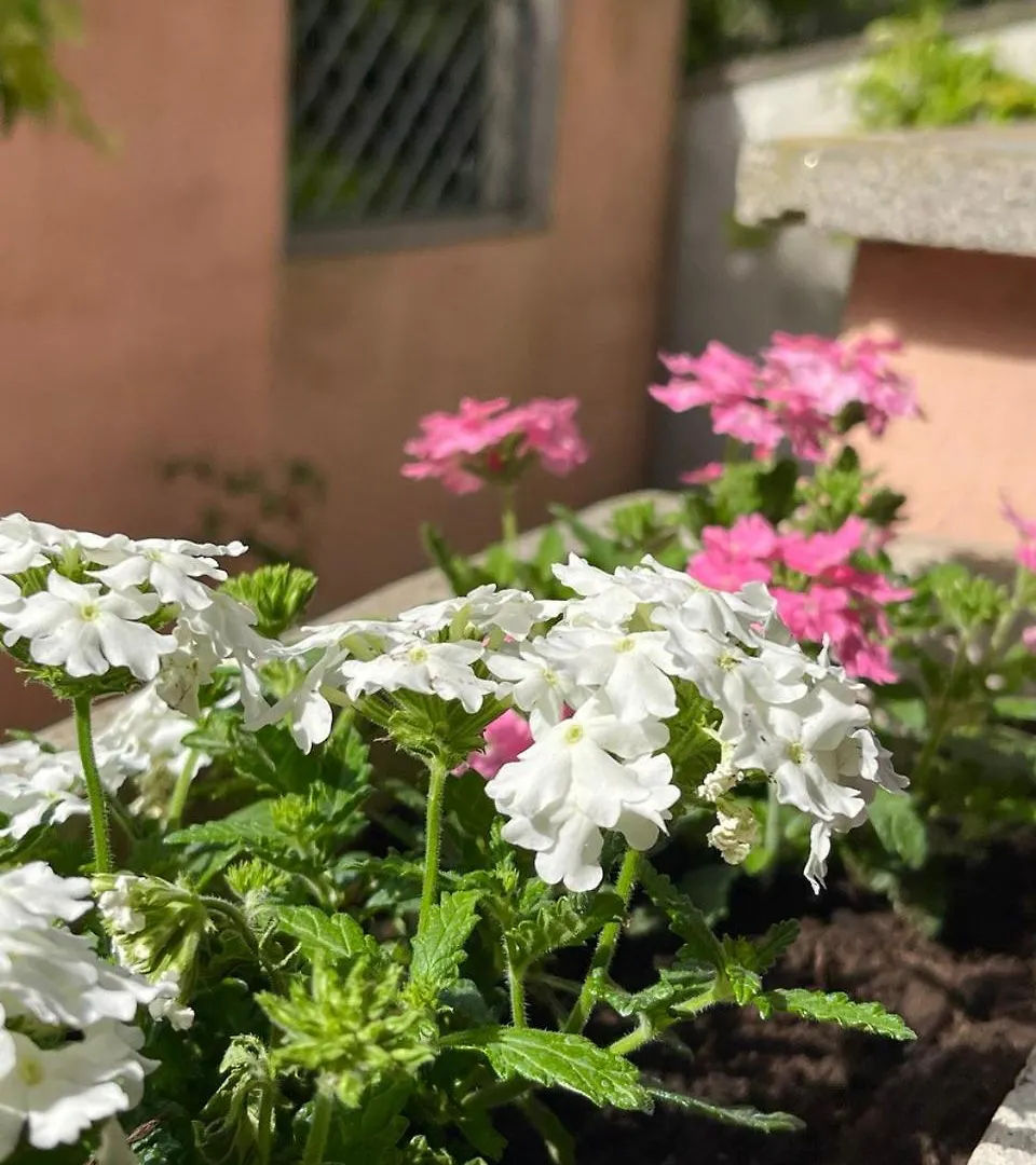 Vacanze Romane Acilia