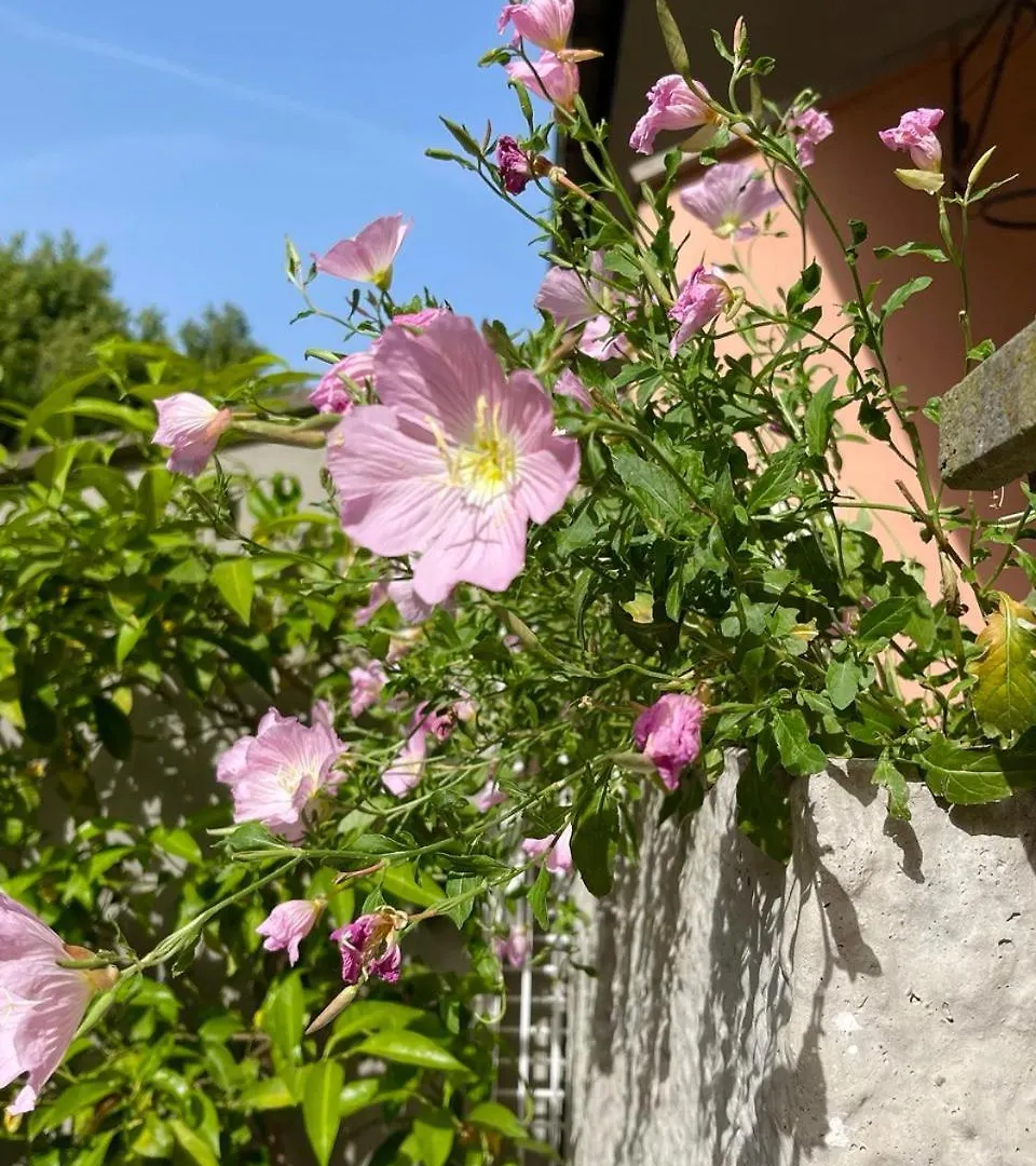 Apartment Vacanze Romane Acilia
